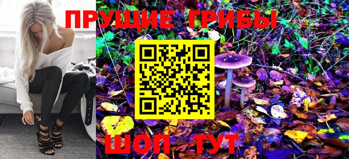Кстово  Галлюциногенные грибы Psilocybe  Галлюциногенные грибы Psilocybe  Вход с VPN 