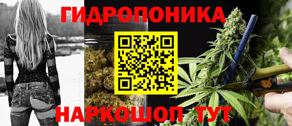 Конопля марихуана  Вход с VPN  Кстово  Каннабис планчик  Канабис OG Kush 